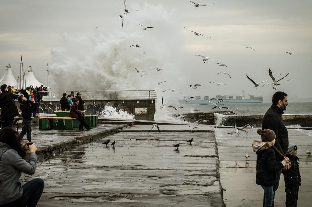 Shestaya Zhemchuzhina Odessa Luaran gambar